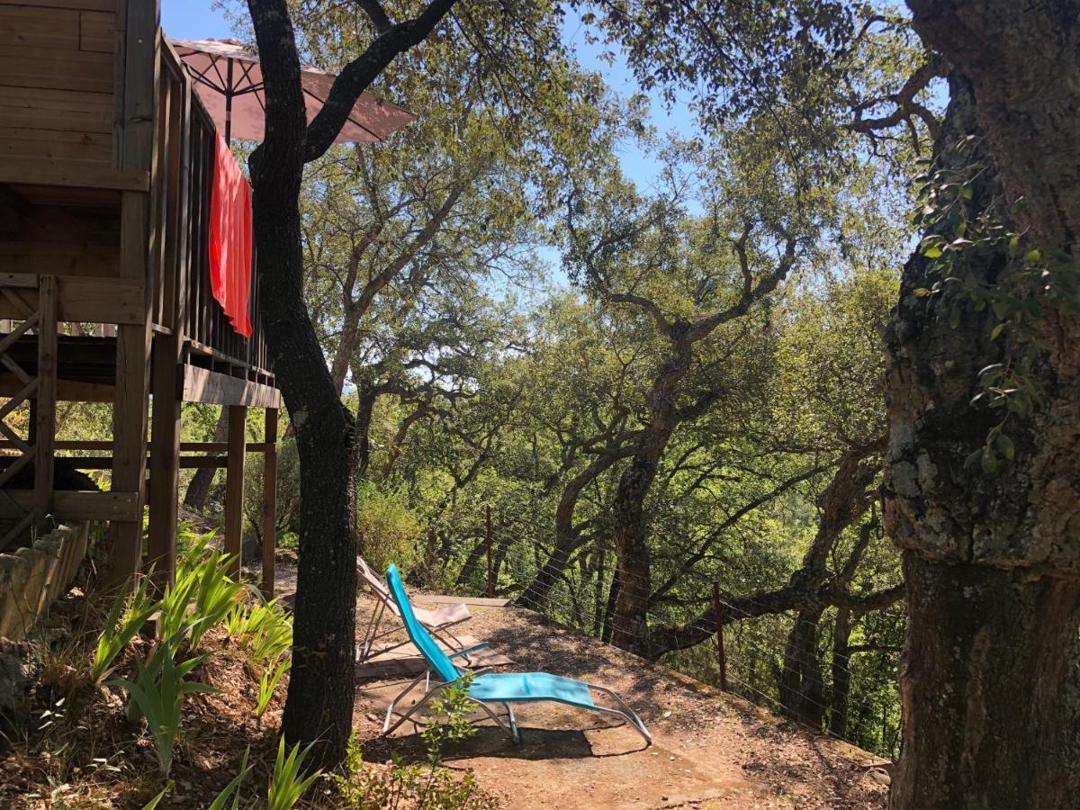 Camping de Parpaillon Roquebrune-sur-Argens Buitenkant foto